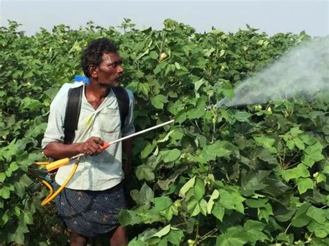 This Nano Sensor Can Detect Pesticide Use On Fruits In Just A Few Minutes