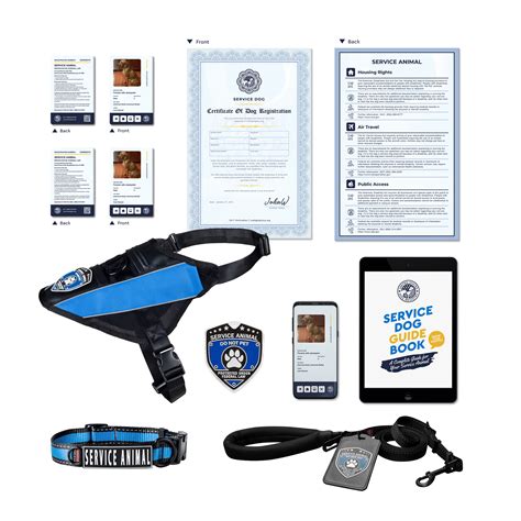 What Does It Take To Register A Service Dog
