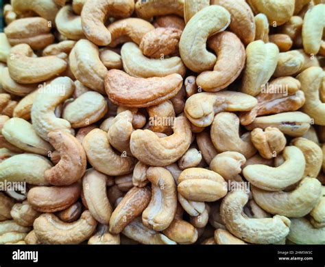 The cashew nut is the fruit of the cashew tree Stock Photo - Alamy