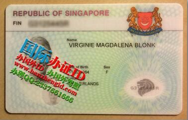 在新加坡，主要都有哪些身份准证？(新加坡公共担保公司)_新加坡创业网