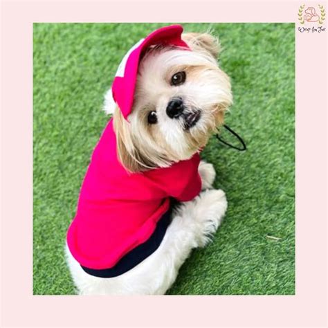 Pink Polo T-Shirt – Wrapinfur