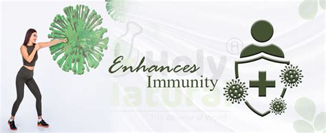 Holy Natural Moringa Powder