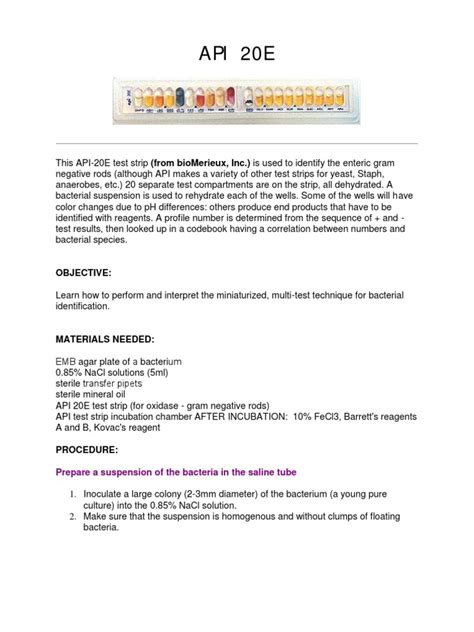 Image result for API 20E Manual PDF