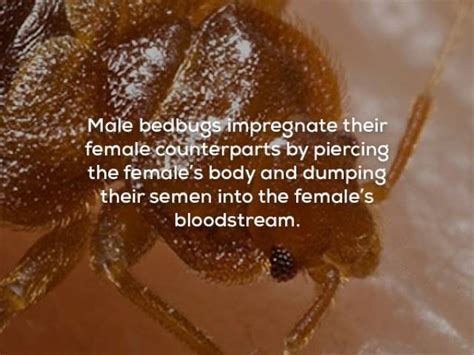 Image result for Fun Facts General Knowledge