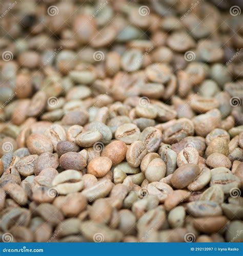 Green Unroasted Coffee Beans Stock Image - Image of industry, arabic ...