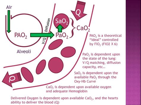 Image result for PaO2/FiO2