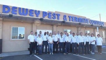 Pest Control Lancaster 的图像结果