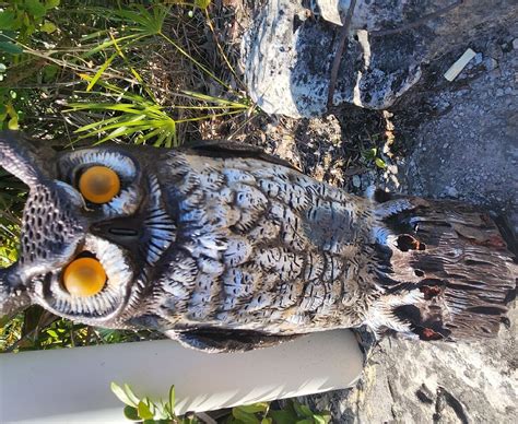 OWL’S HOLE (2024) All You Need to Know BEFORE You Go (with Photos ...