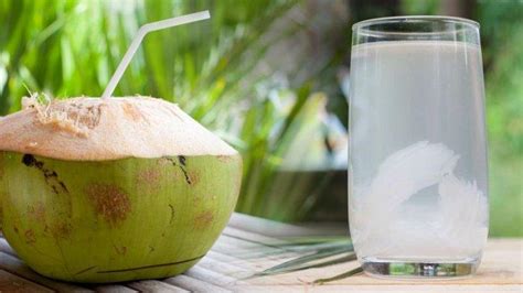 manfaat air kelapa rebus untuk ginjal
