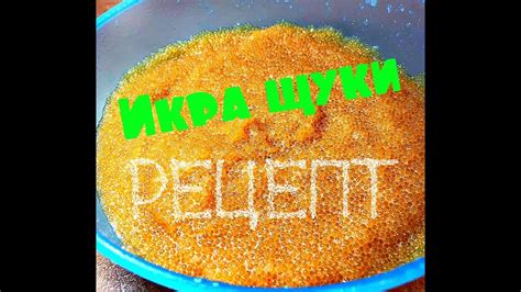 Засолка щучьей икры. Икра щуки. Как вкусно засолить щучью икру. - YouTube