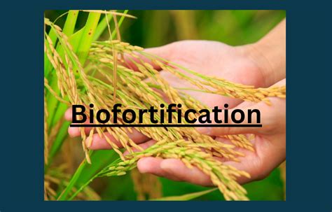 What is Biofortification? Complete Guide with Examples