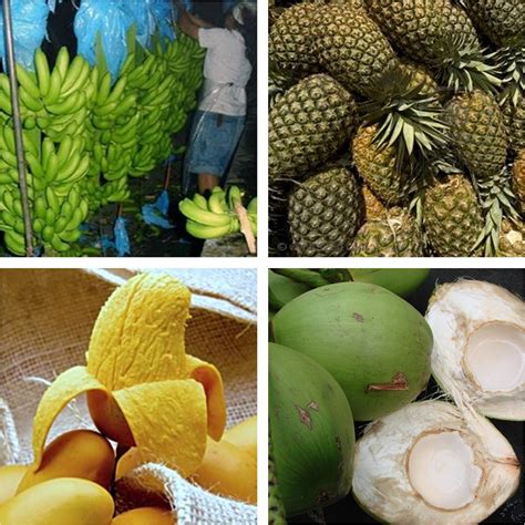 Local Products 的图像结果