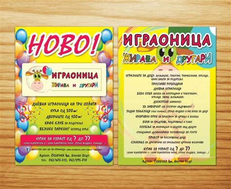 Brendiranje vozila i poslovnih prostora Pacarti studio