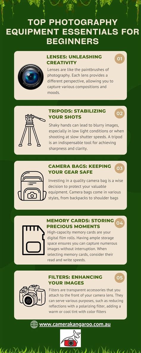 Digital Camera Essentials 的图像结果