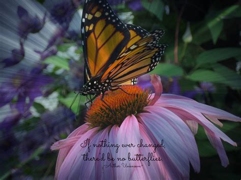 Butterfly Quotes For Death. QuotesGram