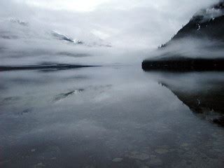 Handbag Code Roblox 的图像结果