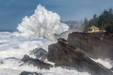 Image result for shore acres waves