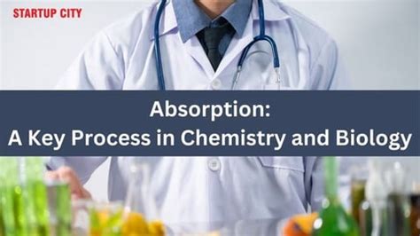 Image result for Science of Absorption