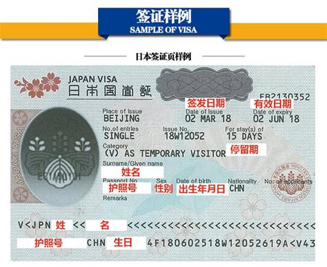 日本留学签证新政策解读2023Word模板下载_编号qkjdxbvm_熊猫办公
