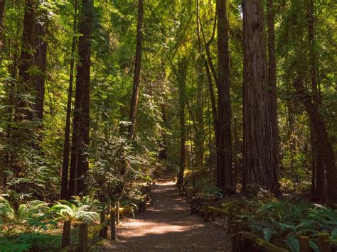 "fairfield to windsor" - Sonoma County Tourism