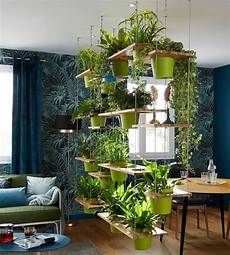 fiori a casa plantes et fleurs pour une d 233 co d int 233 rieur 15 fiori a casa plantes et fleurs pour une d 233 co d int 233 rieur 15