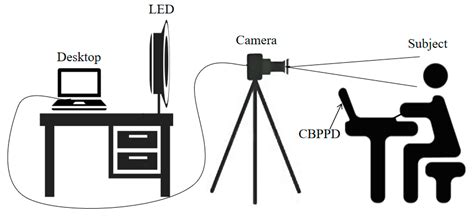Prediction of Impulsive Aggression Based on Video Images