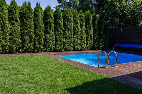 Swimming Pool Fence Ideas