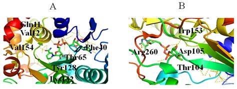 Rhamnose-Containing Compounds: Biosynthesis and Applications