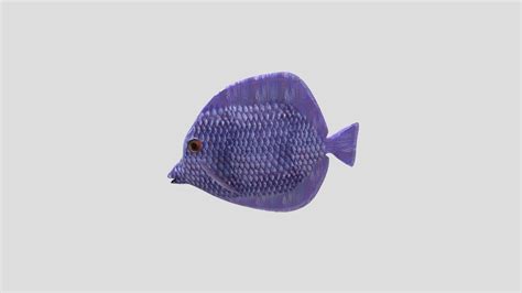 Image result for 3D Fish Craft