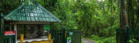 Bird Sanctuaries in Kerala 2026 | Complete Birdwatching Guide