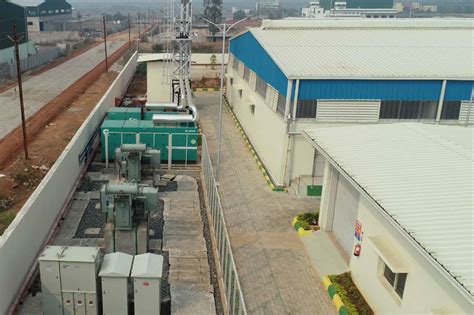 Gallery | Wild Lotus