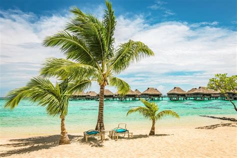 Resorts In Vaadhoo Island Maldives:11 Best Options To Pick!