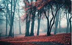 Aesthetic Autumn Desktop Wallpapers by Fall Aesthetic Desktop Wallpapers Top Free Fall Aesthetic Autumn Desktop Wallpapers