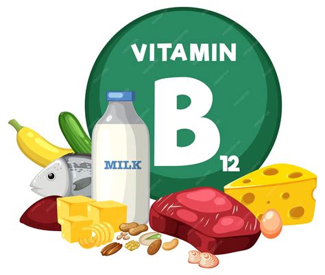 Group of food fruit and vegetable containing vitamin b12 | Premium Vector