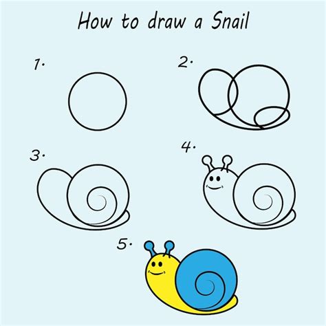 Step by step to draw a snail drawing tutorial a snail drawing lesson ...