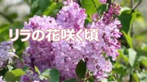 Image result for Parent Class Structure Java