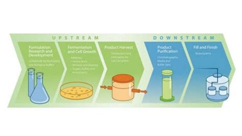 Image result for Upstream Process Overview Slide