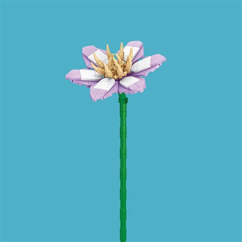 Clematis – Setsugo