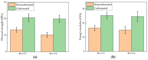 Elucidating the Effect of Accelerated Carbonation on Porosity and ...