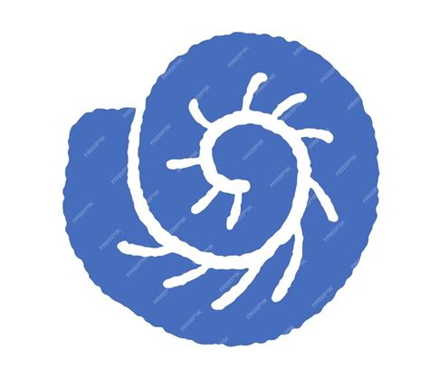 Image result for Nautilus Shell Matrix Multiplication by Vector