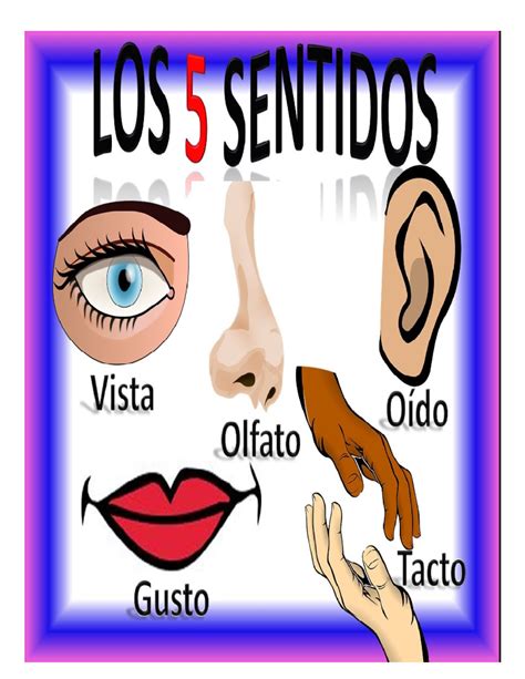 LOS Cinco Sentidos - ciencias naturales - LOS S SENTIDOS UN Vista Oído ...