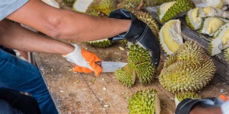 Menu Makanan yang Sesuai untuk Bayi yang Mengalami Cirit Birit