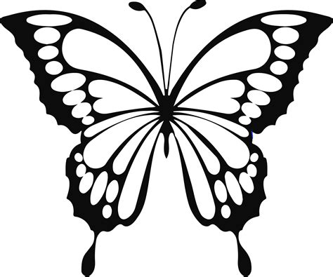 butterfly drawing outline pdf