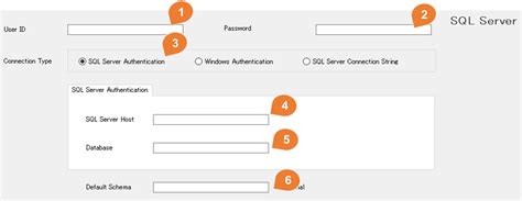 Image result for SQL Server Connection Form