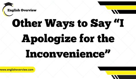 20 Polite Ways to Say “I Haven’t Heard From You”