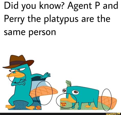 Perry The Platypus Meme