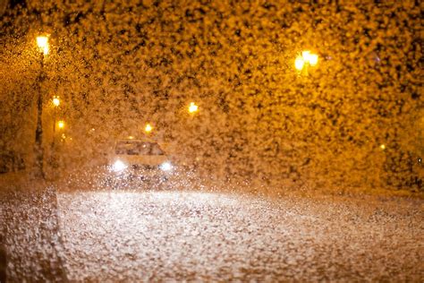 Mayfly Swarm