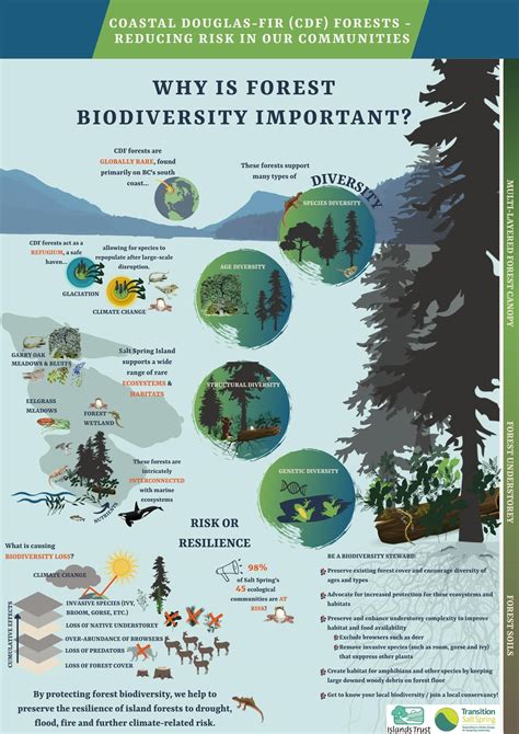 Infographic: Why is forest biodiversity important? - Transition Salt Spring