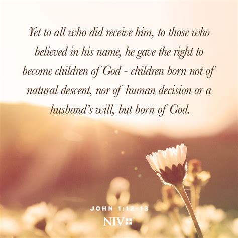 NIV Verse of the Day: John 1:12-13